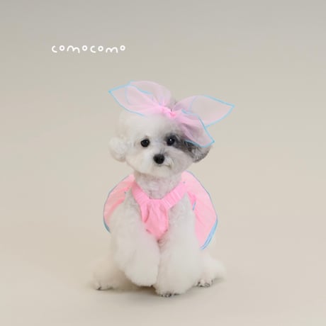 【予約】comocomo...PINK RURU