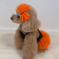 【即納】chicodicha...orange color tutu