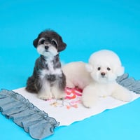 【予約】comocomo...blanket