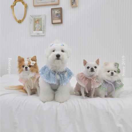 【予約】Raffine Mong ... Le Petit Cape Set