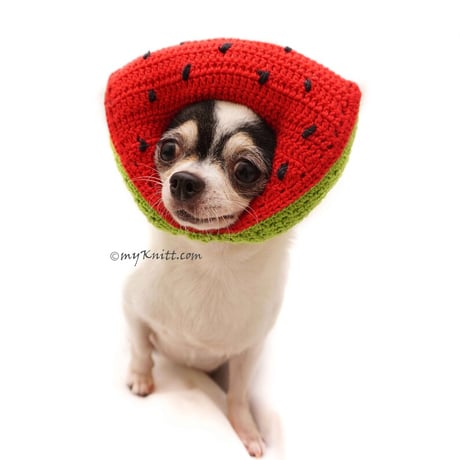 【予約】Myknitt...スイカお帽子🍉