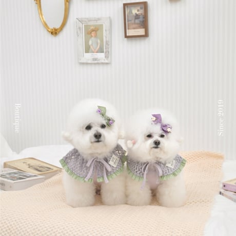 【予約】Raffine Mong ... Le Petit Cape Set