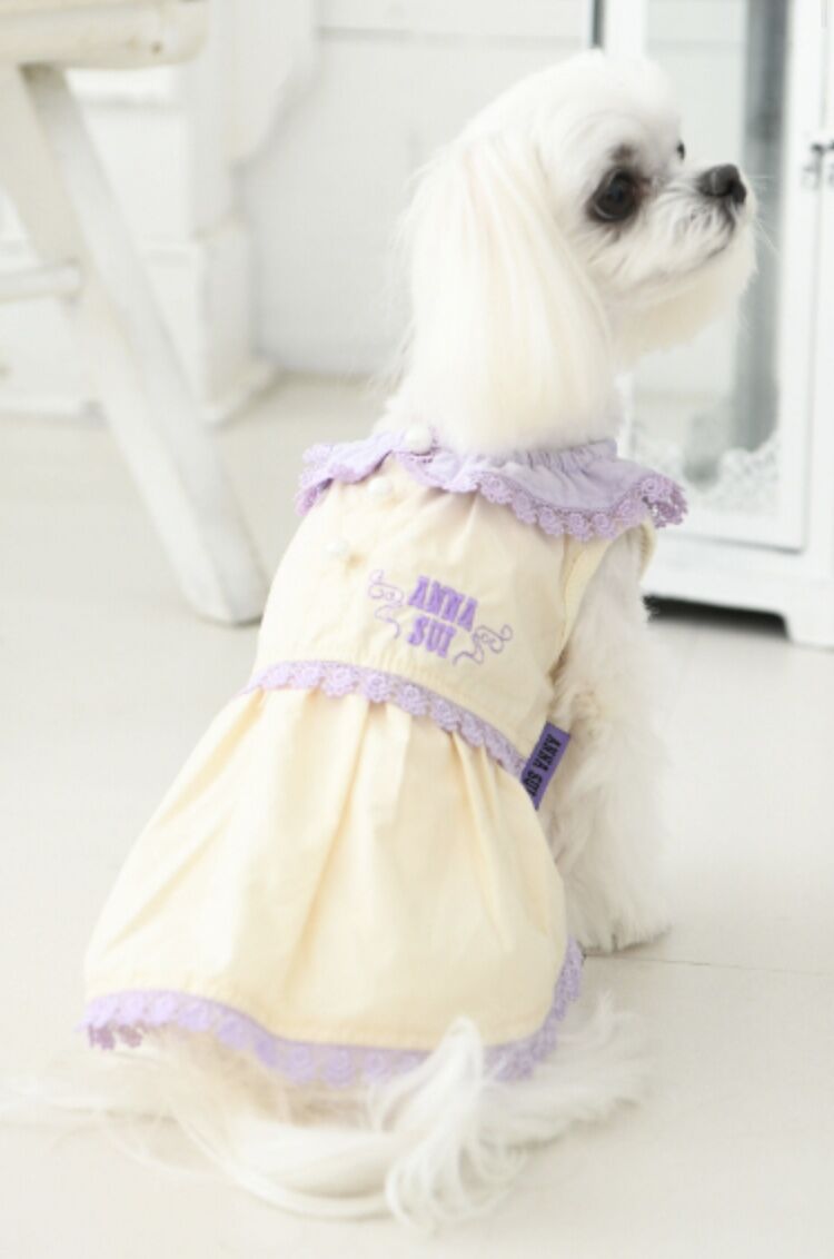 即納】ANNA SUI レースカラーワンピ | un seul dog's STORE