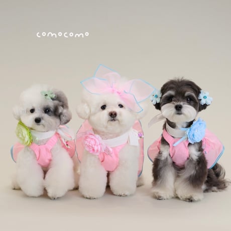 【予約】comocomo...PINK RURU
