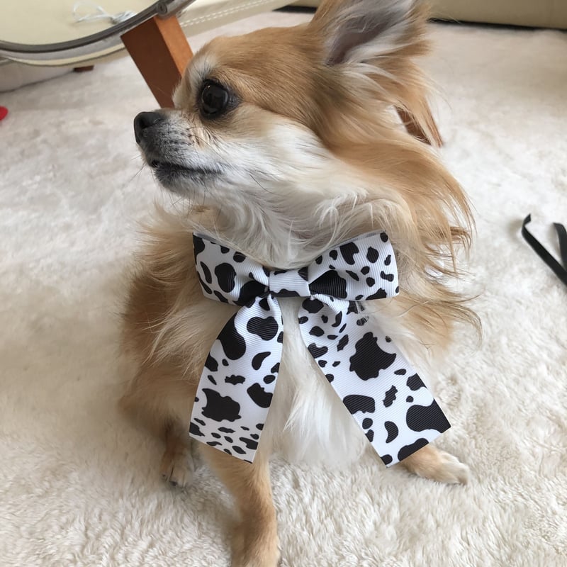 犬服サロペットワンピース見本 即納】Blue Time  ワンピース/サロペット | un seul dog's S
