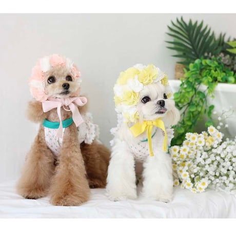 【予約】HAPPYJJANGGU♪ Joyful Mini Small Flower