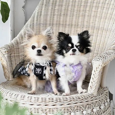 【即納】ANNA SUI ショルダーリボンギンガムチェックギャザーワンピース
