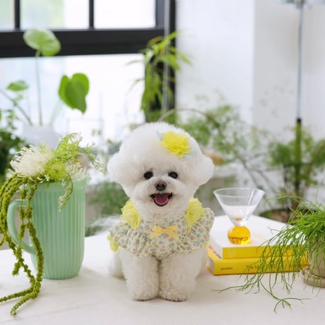 【予約】ilo ilo...Bebe Flower Ts
