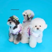 【予約】comocomo...Shu Cream