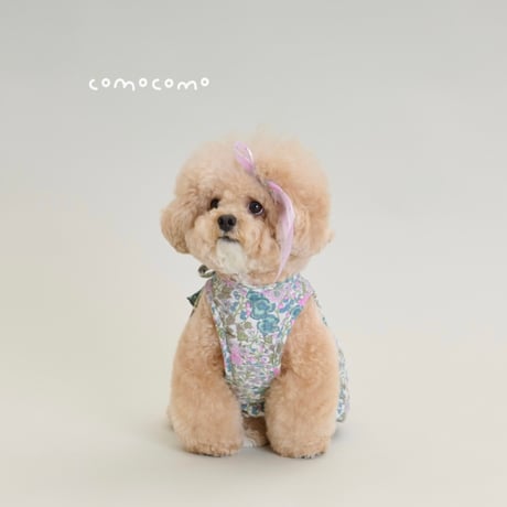 【予約】comocomo...BAM BOO