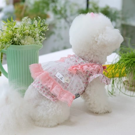 【予約】ilo ilo...Bebe Flower Ts