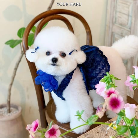 【即納】your haru ... Viki OPS navy