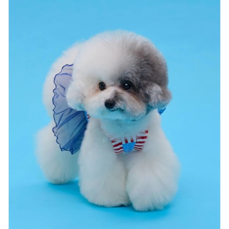 【即納】comocomo...cherry blue