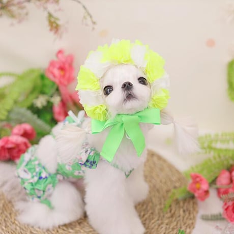 【予約】HAPPYJJANGGU♪ cross bikini flower