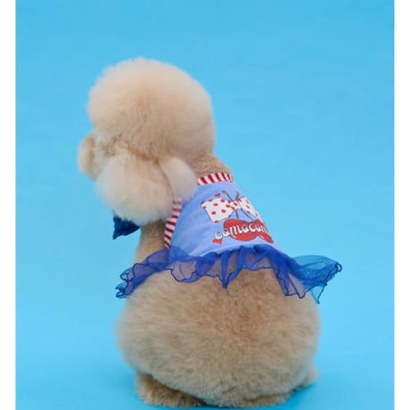 【即納】comocomo...cherry blue