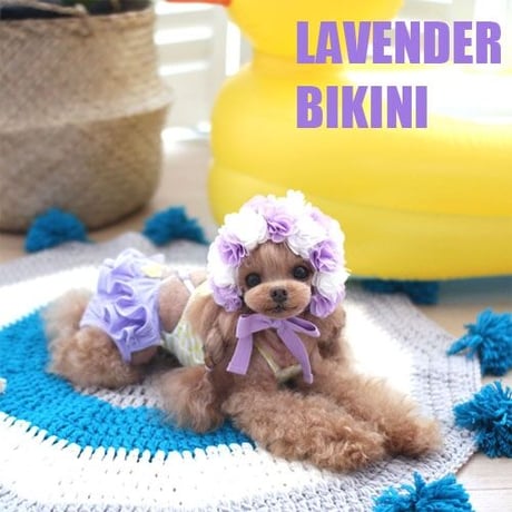 【予約】HAPPYJJANGGU♪ lavender Bikini