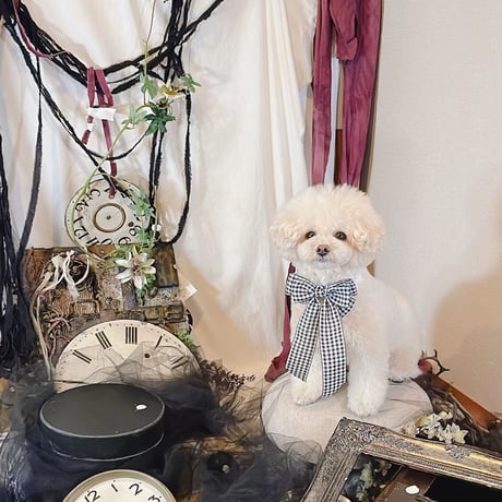 【受注制作】check  original choker