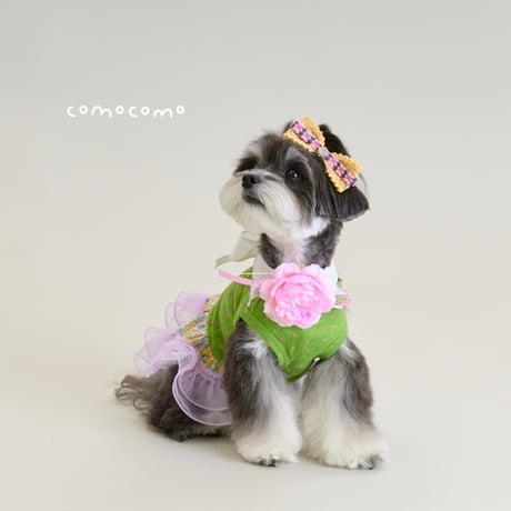 【予約】comocomo...CUP CAKE GREEN