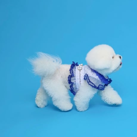 【予約】comocomo... FORGARDEN BLUE