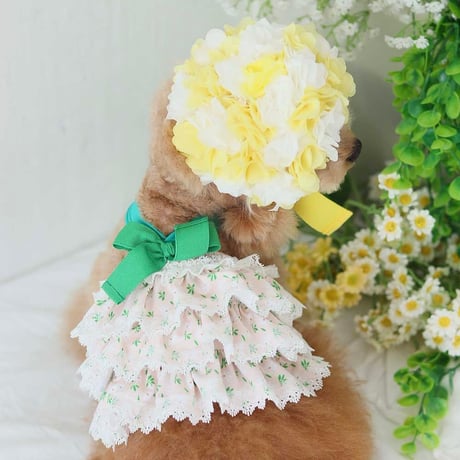 【予約】HAPPYJJANGGU♪ Joyful Mini Small Flower