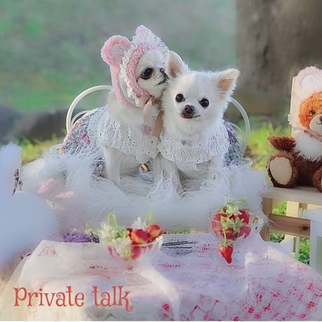 【即納】PEEKAPOODLE...姫様花柄レースダウンワンピース