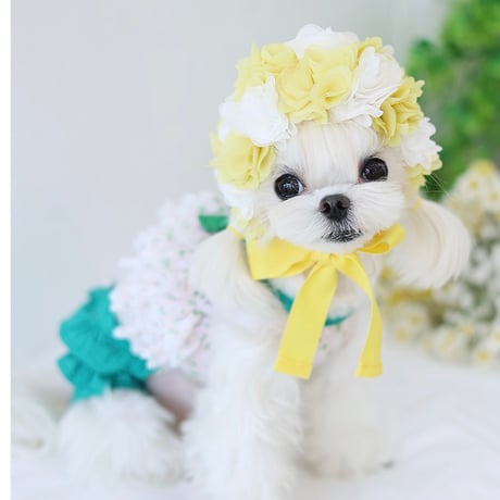【予約】HAPPYJJANGGU♪ Joyful Cross Bikini Small Flower