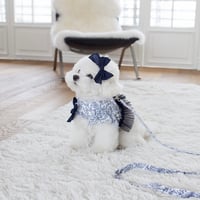 【即納】Coco Chien...Plank harness(リード付き)