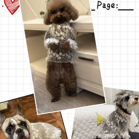 【即納】lace×ribbon tops