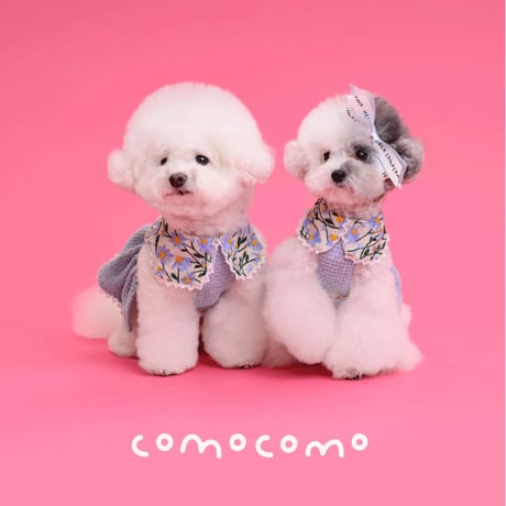 【予約】comocomo...forgarden spring
