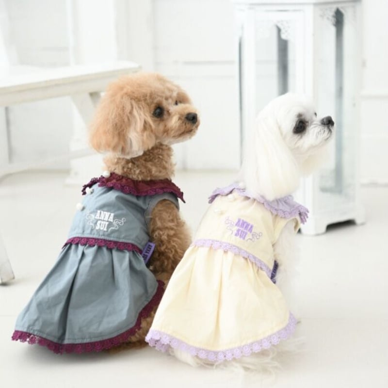 即納】ANNA SUI レースカラーワンピ | un seul dog's STORE