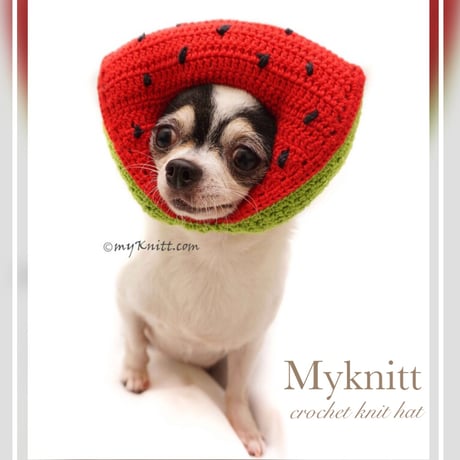 【予約】Myknitt...スイカお帽子🍉
