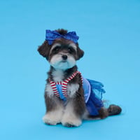 【即納】comocomo...cherry blue