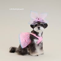 【予約】comocomo...PINK RURU