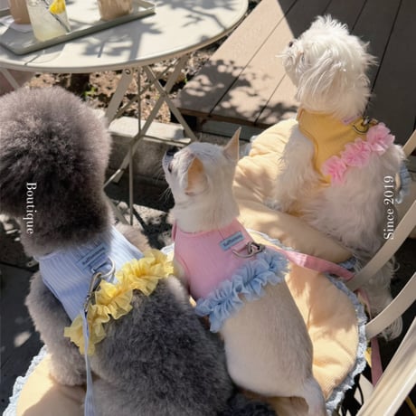 【予約】Raffine Mong ... Peony Harness