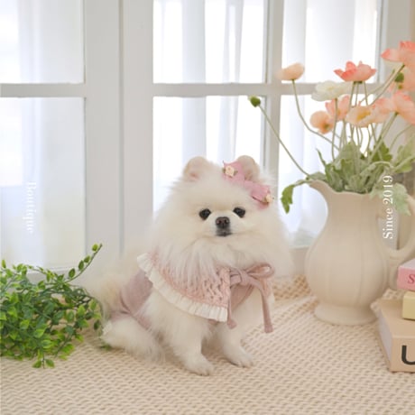 【予約】Raffine Mong ... Le Petit Cape Set