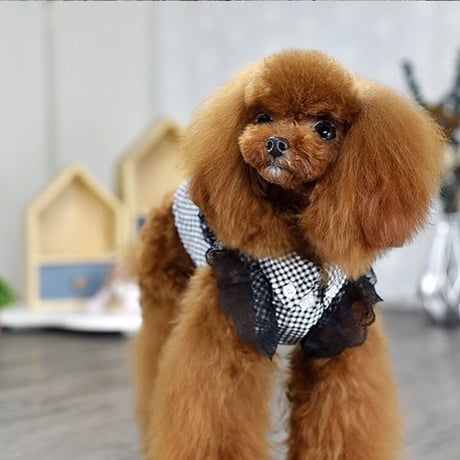 【即納】PEEKAPOODLE...モノトーンチェックトップス♡