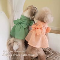 【即納】Striped dress with collar