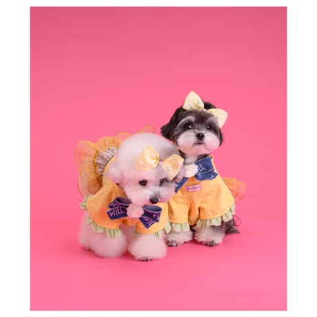 【予約】comocomo...ribonico (yellow ribbon top)