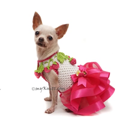 【予約】Strawberry Dress Crochet