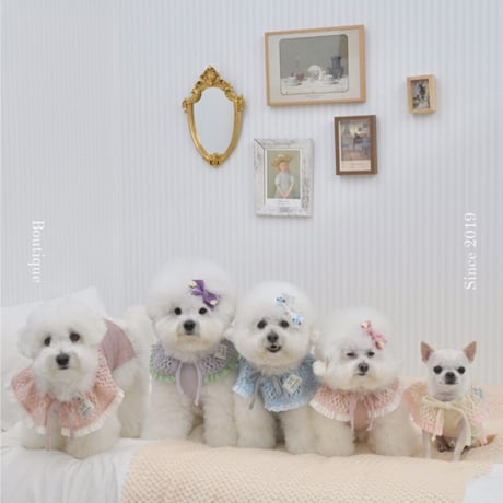 【予約】Raffine Mong ... Le Petit Cape Set