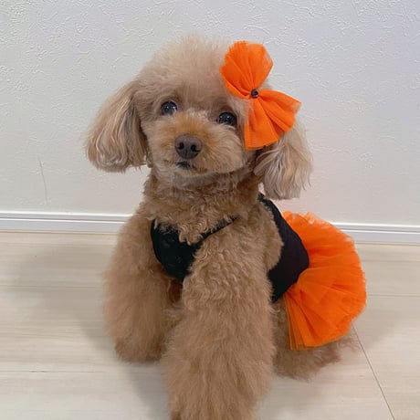【即納】chicodicha...orange color tutu