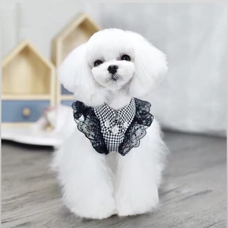 【即納】PEEKAPOODLE...モノトーンチェックトップス♡