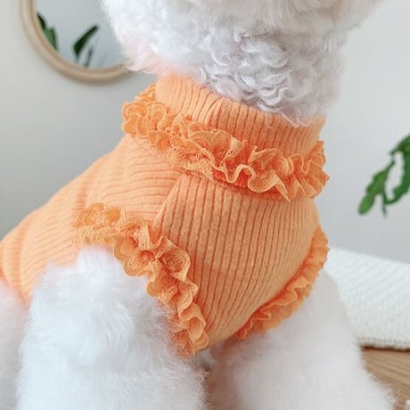 【即納】Vitamin color tops♪
