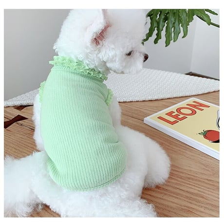 【即納】Vitamin color tops♪