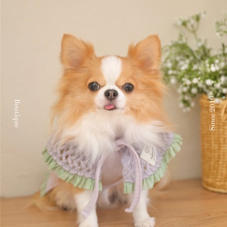 【予約】Raffine Mong ... Le Petit Cape Set