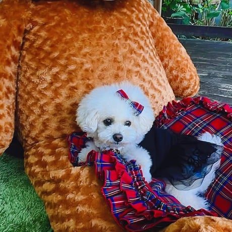 【即納】original  tartan check café mat  スクエア型(長方形)