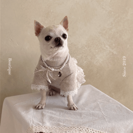 【予約】Raffine Mong ... Shine Beige Gold Top
