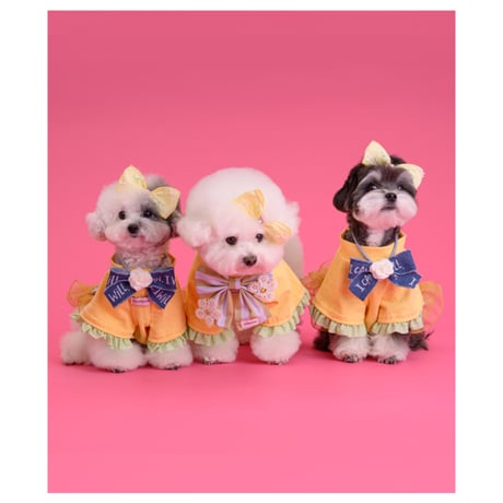 【予約】comocomo...ribonico (yellow ribbon top)