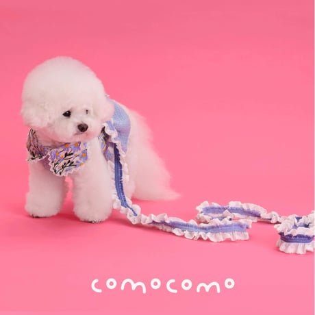 【予約】comocomo...forgarden spring
