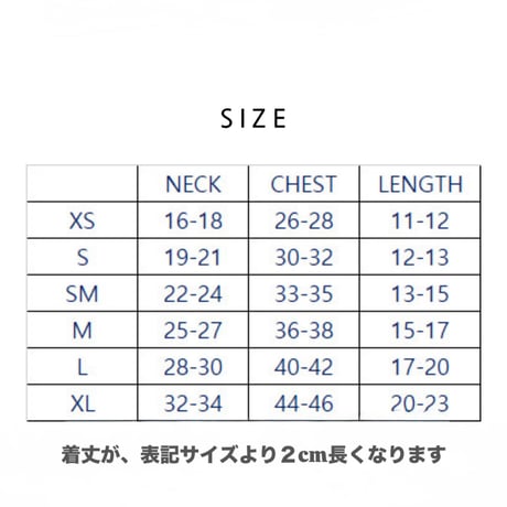 【予約】chicodicha...leopard crop tops